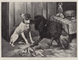 Het geweten maakt ons allen laf